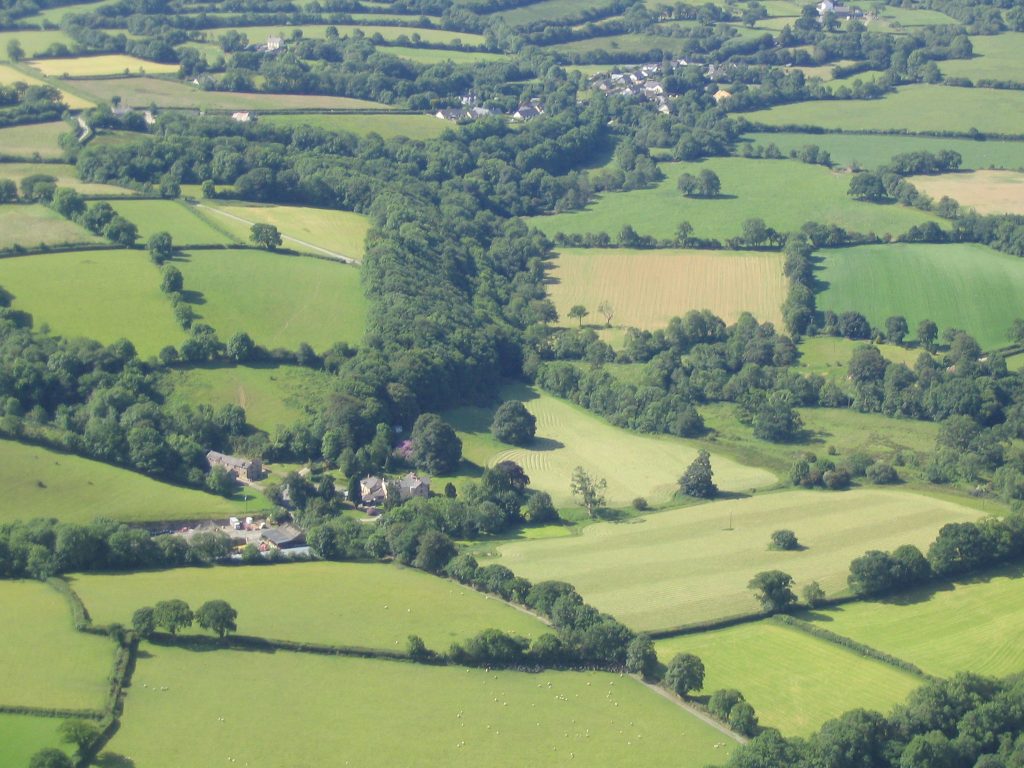 Davids Organic Farm Holidays